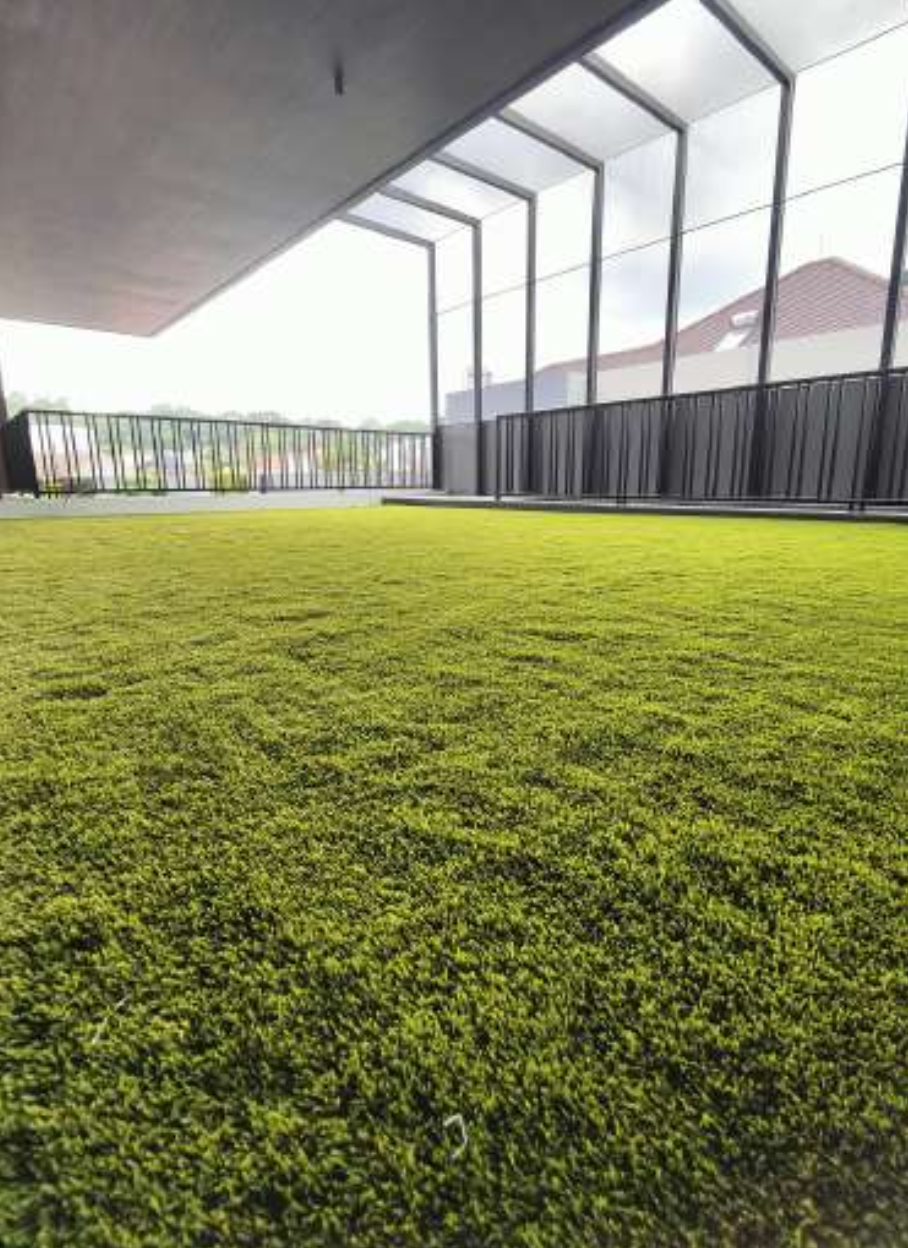 Prime Grass