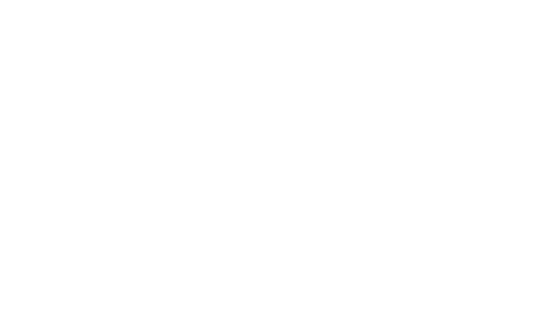 Granite-Textured Paint Specialist