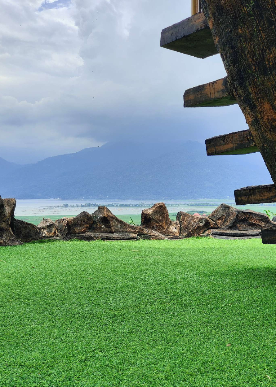 Prime Grass